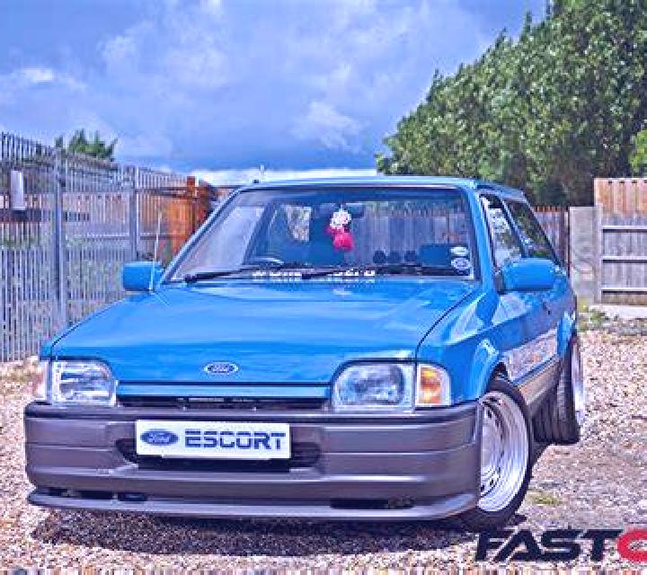 escort Bealeton