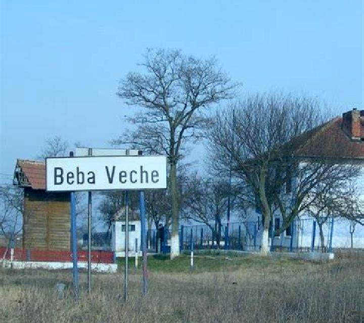 escort Beba Veche