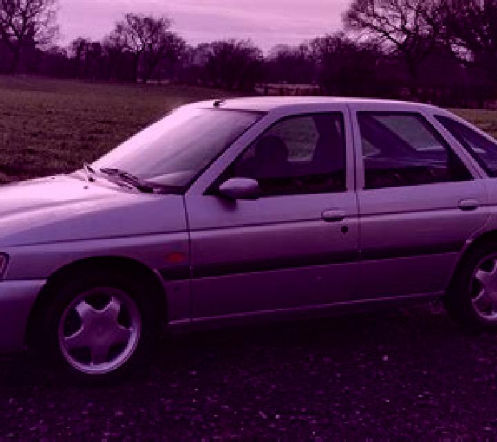 escort Berkheim