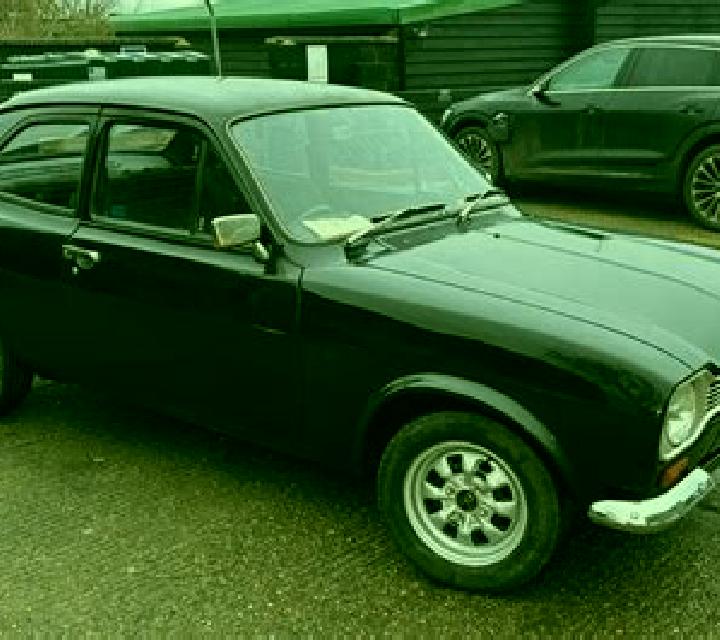 escort Black Earth