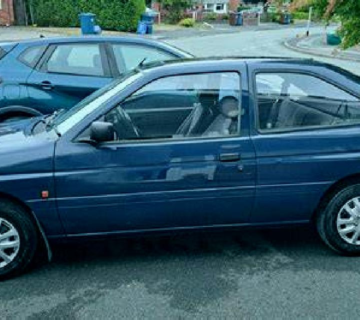 escort Blue Mountain