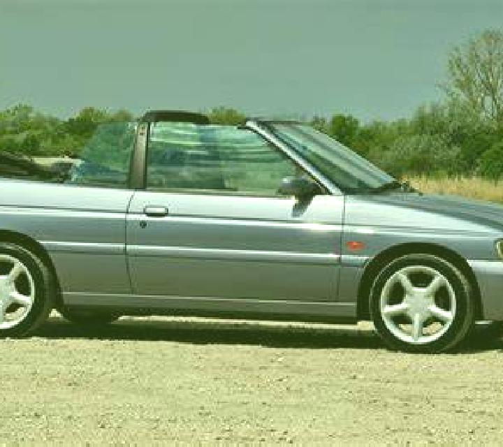 escort Boinesti