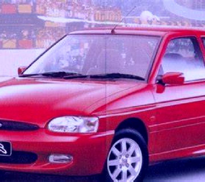 escort Bolo Bolo