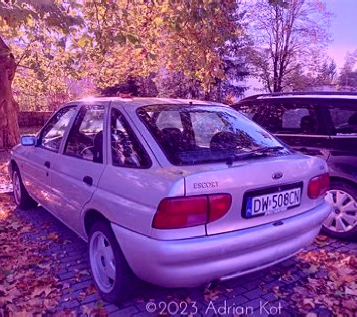 escort Bolsward