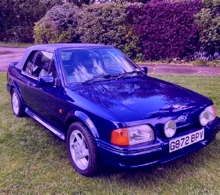 escort Borchtlombeek
