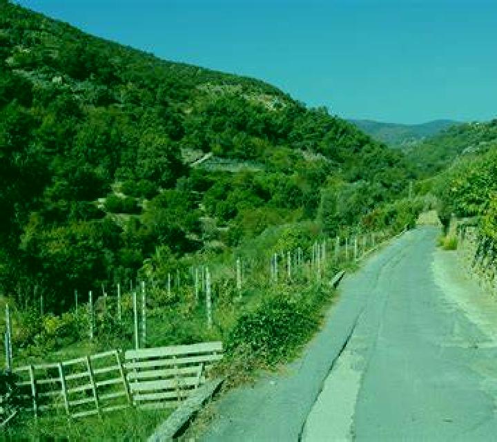 escort Bordighera