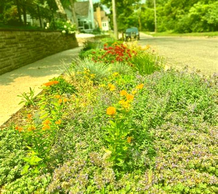 escort Boulevard Gardens