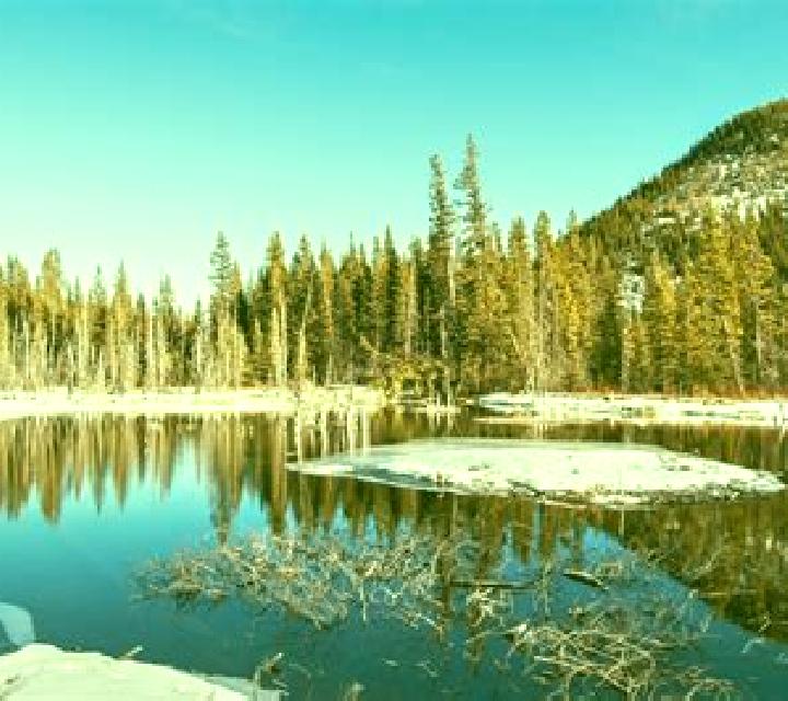 escort Bragg Creek