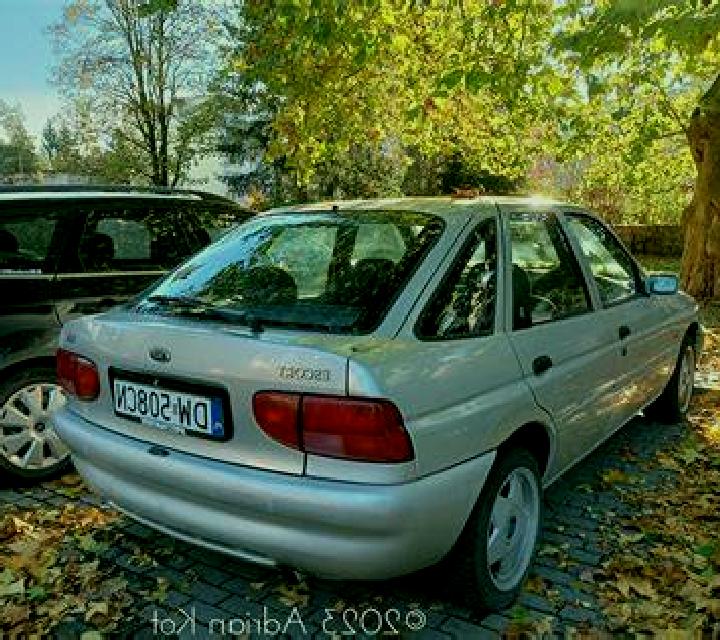 escort Buczkowice