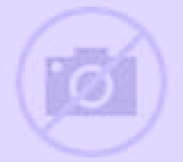 escort Buedingen