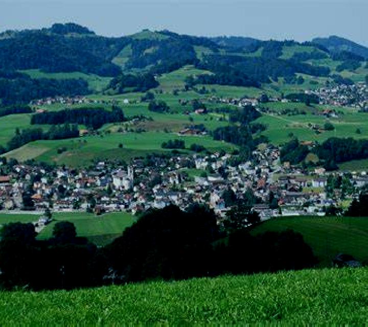 escort Buetschwil