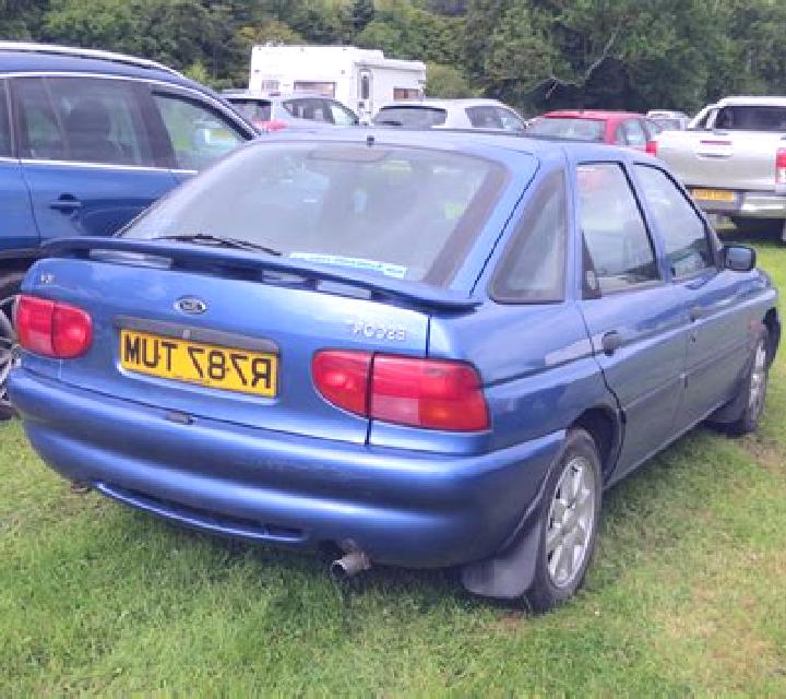 escort Bushenge