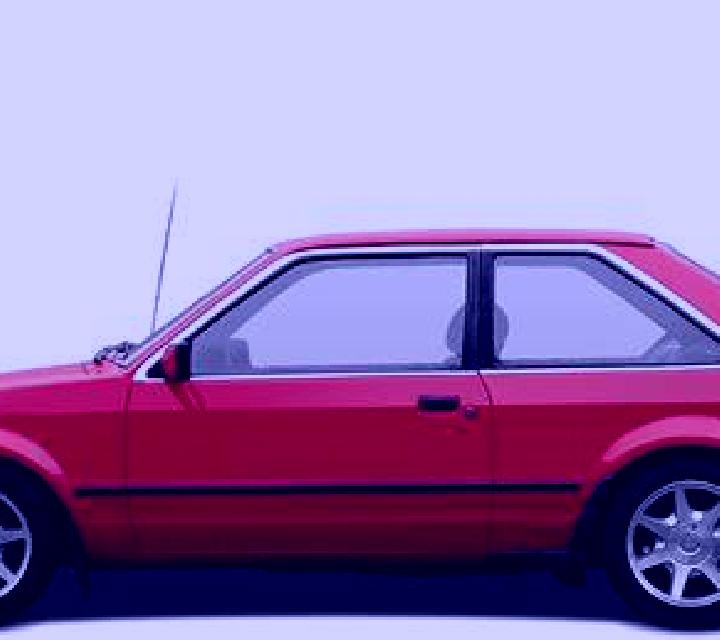 escort Caimanero
