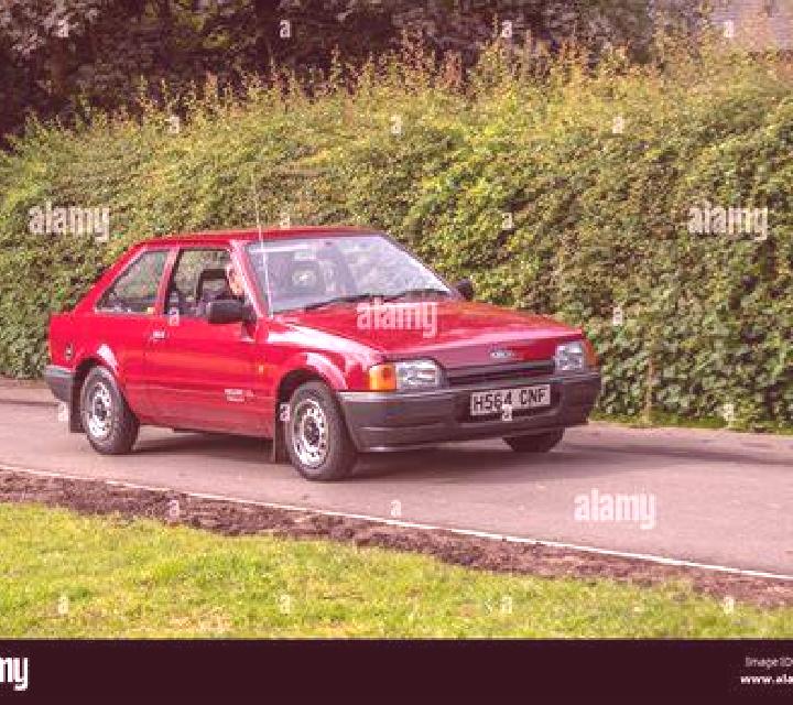 escort Calbe