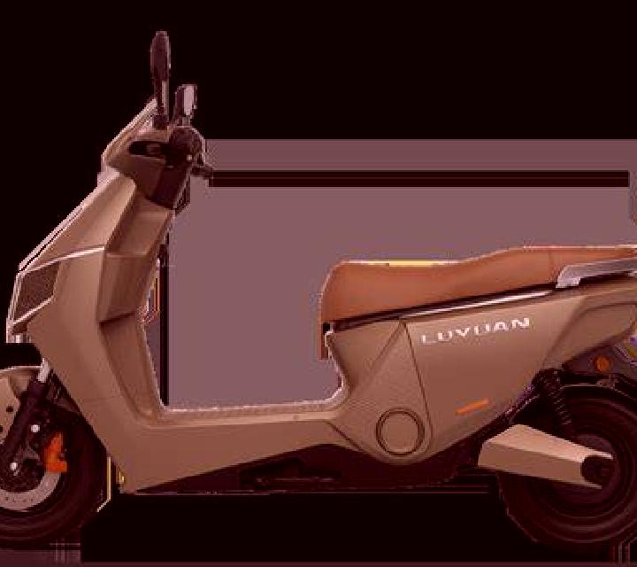 escort Canaman