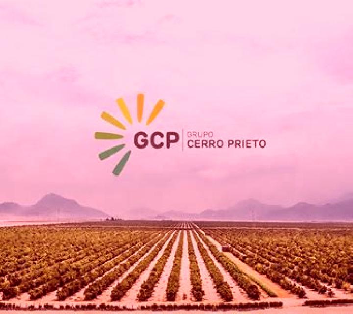 escort Cerro Prieto