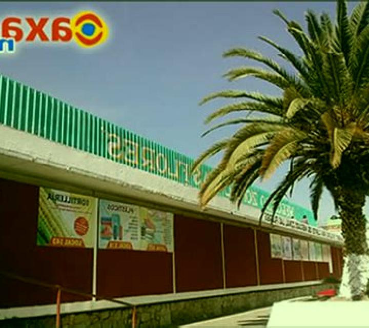 escort Colonia las Flores