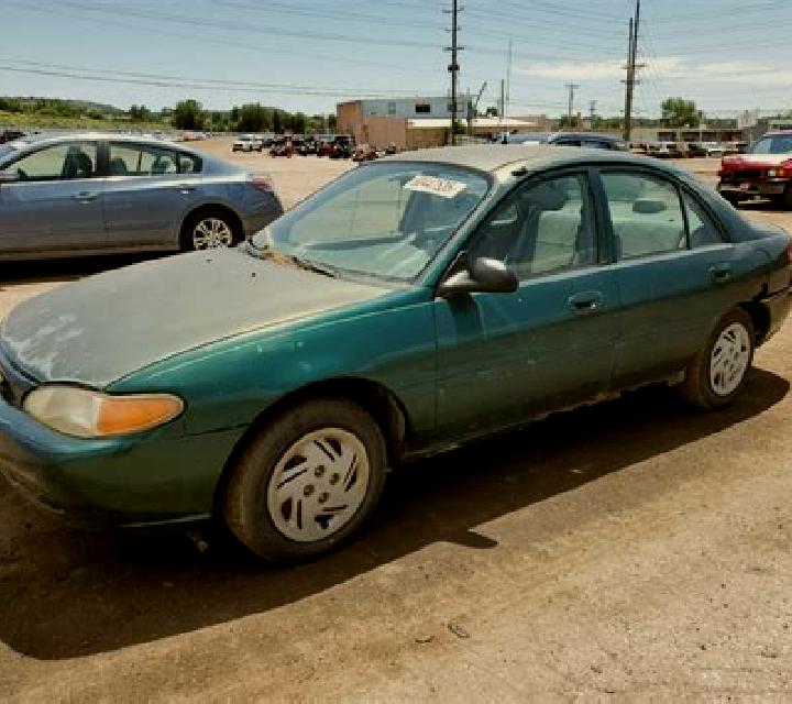 escort Colorado