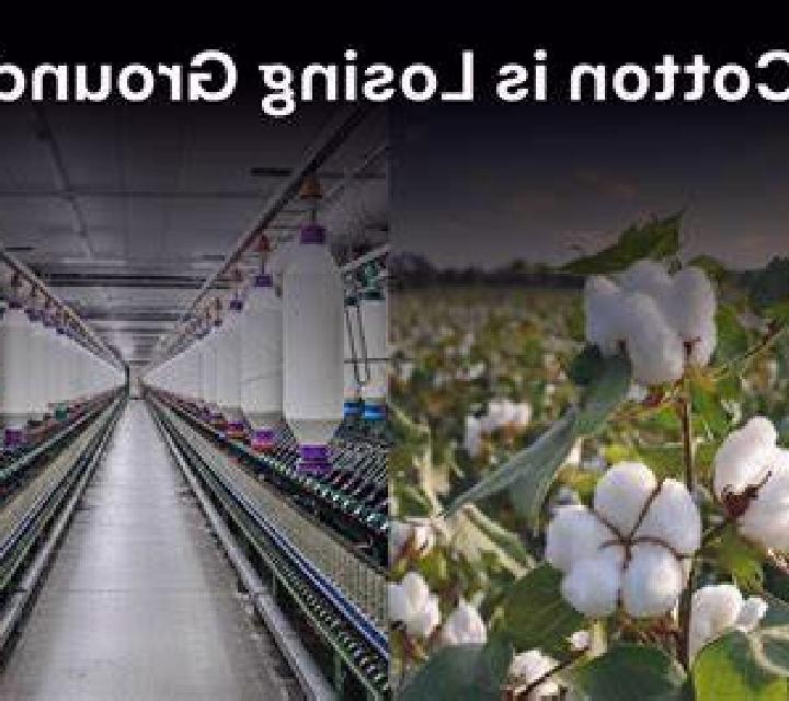 escort Cotton Ground