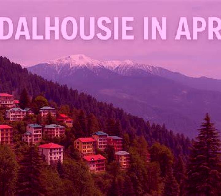 escort Dalhousie