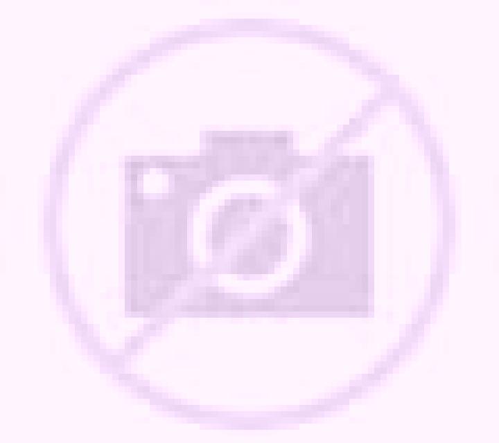 escort Dateng