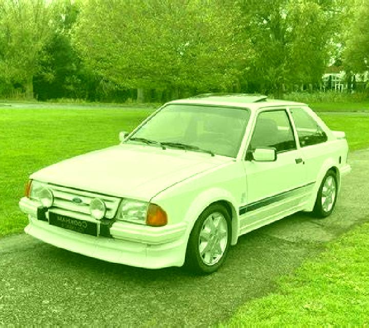 escort Daytona Beach