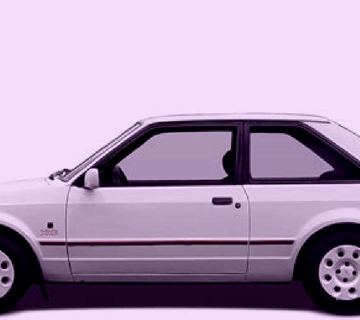 escort Dayun