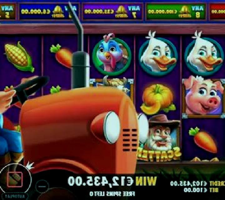 escort Divinopolis