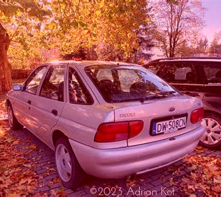 escort Dobiegniew