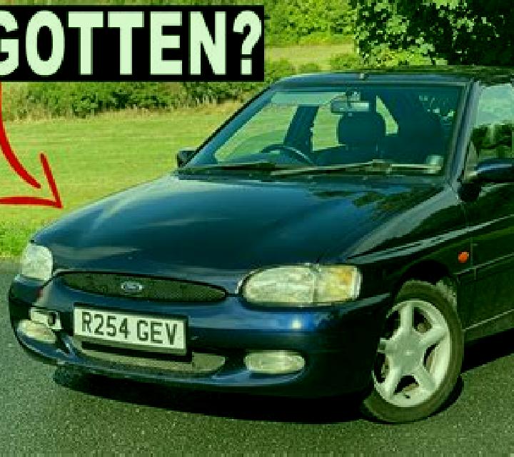escort Dolgen
