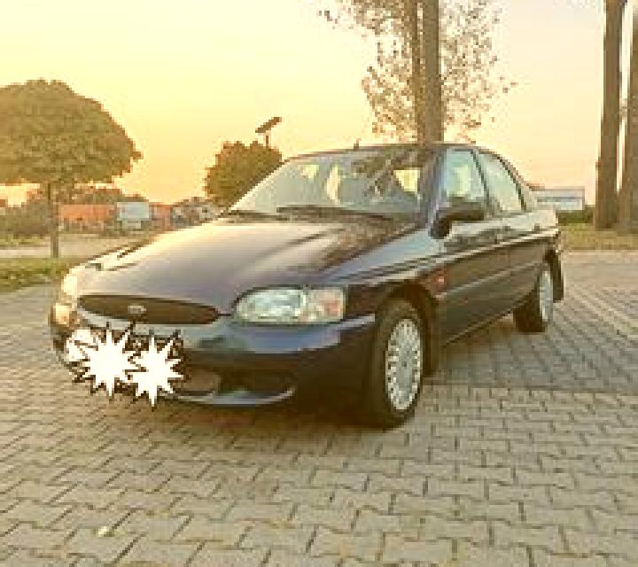 escort Domaniewice