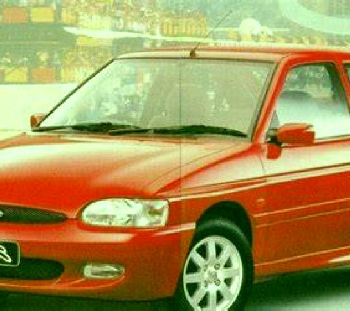 escort Duezici