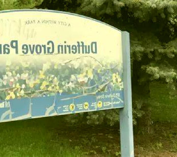 escort Dufferin Grove