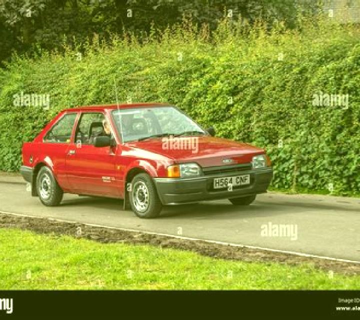 escort Durnford