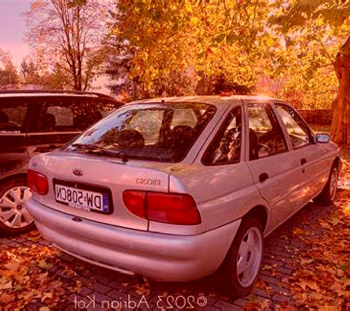 escort Egesheim