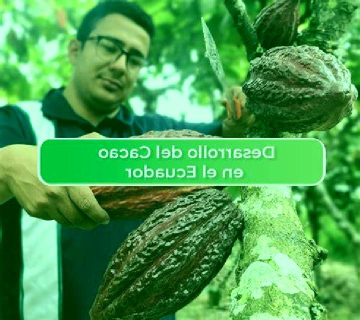 escort El Cacao