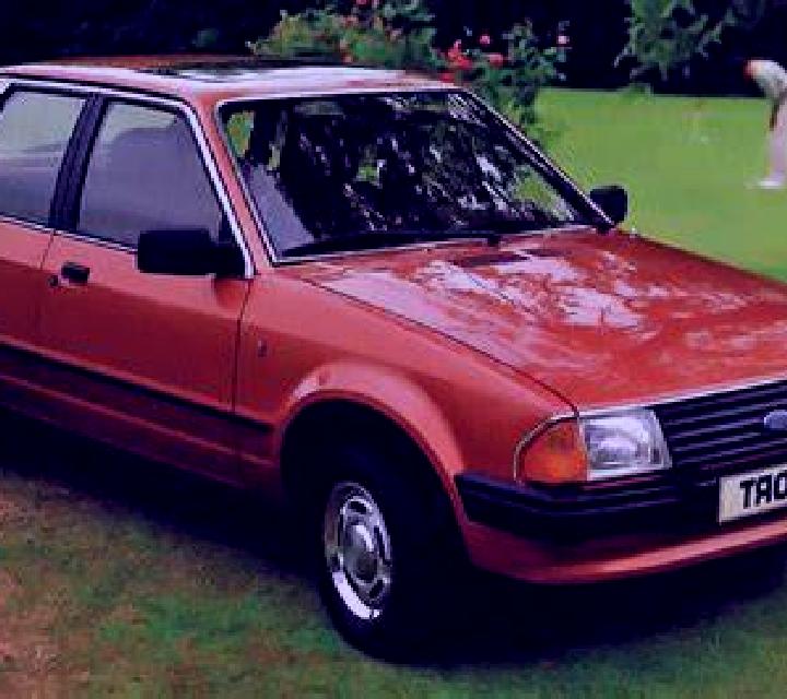 escort El Gavilan