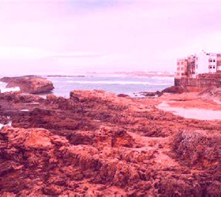 escort Essaouira