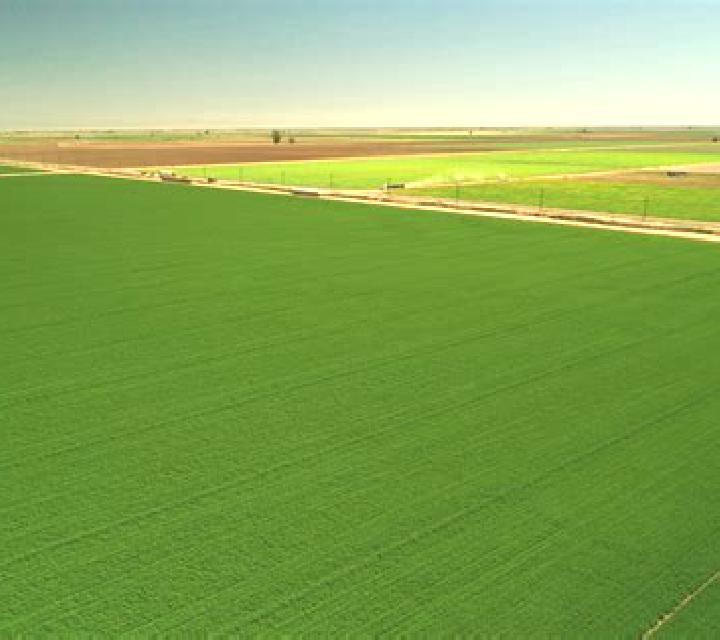 escort Farmland