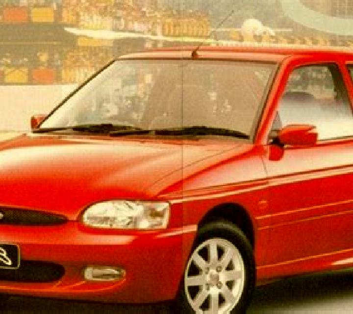 escort Farnsfield