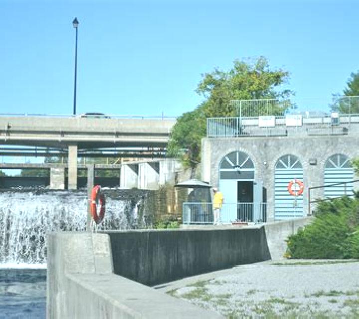 escort Fenelon Falls