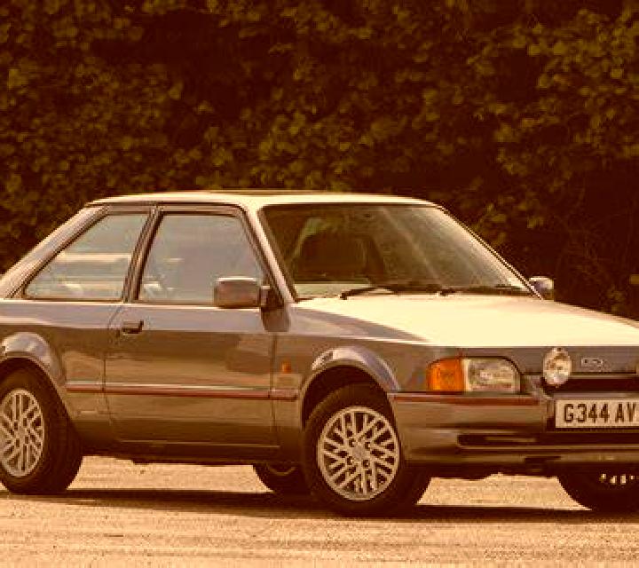 escort Fersin
