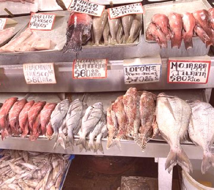 escort Fish Town