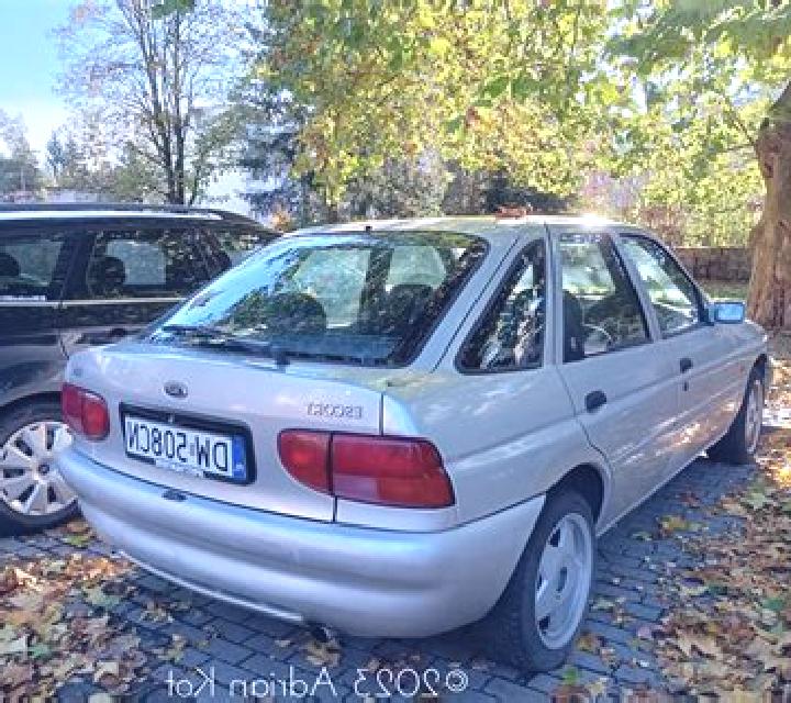 escort Flessau