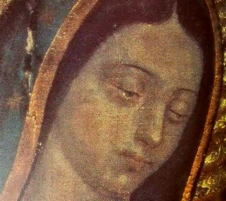 escort Fraccion de Guadalupe