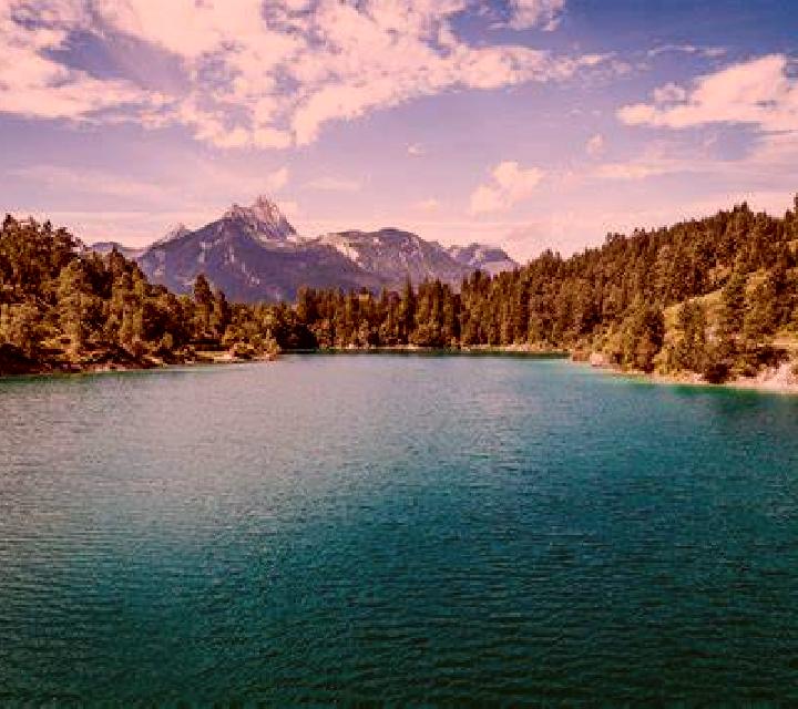 escort Frauensee