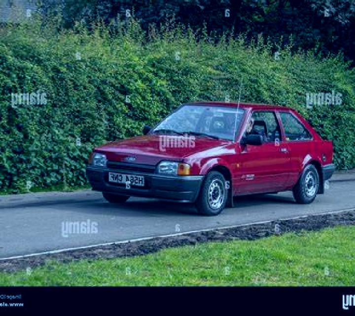 escort Fuguo