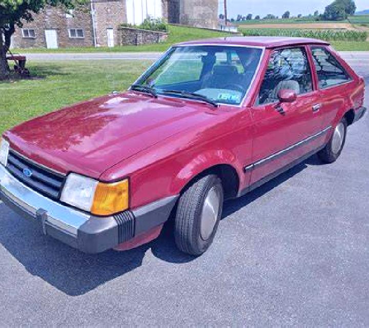 escort Gaiyang