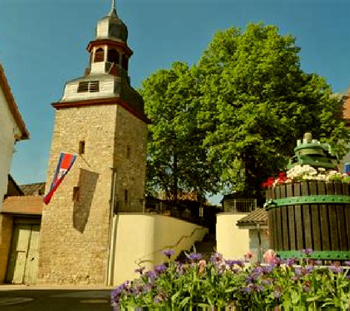 escort Gau-Weinheim