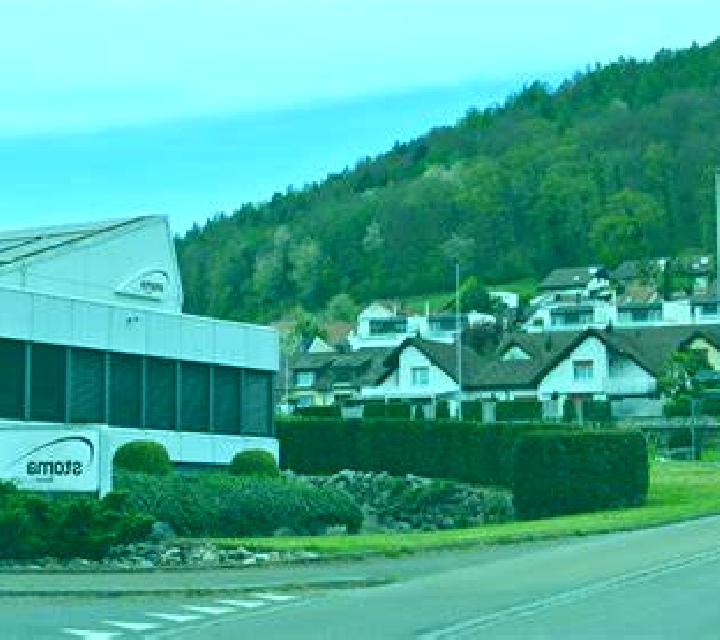 escort Geroldswil / Haslern